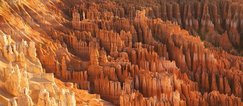 Enchanted Terrains